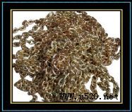 2������朗l 2������朗l��ô�� 2������朗l�r��