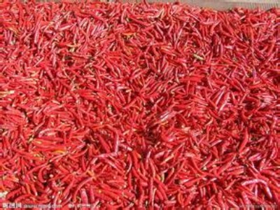 �f�������������