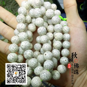 ����������l(f��) ������T���鼯�F(tu��n) ��(sh��)����S Ʒ�|(zh��)�Ѓr(ji��)��(y��u)��