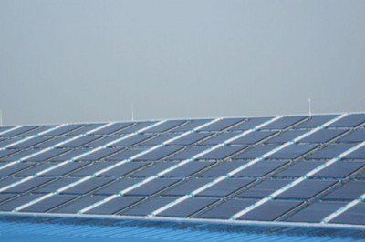 �����������F��������