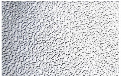 �����X�������z�� �����X�������z��