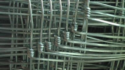 ������ԭ�W ţ�ھW ���ɹŲ�ԭ�W ������˹ţ�ھW