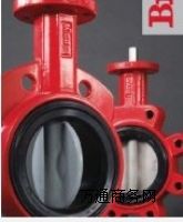 ��������BRAY�y�T