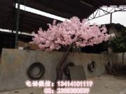 �؃r�����һ���ʥ�����^��Ʒ�����һ����� �����쾰����