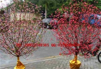 ľ�޻������ �b� ľ�޻����辰 �ѻ��� ����ľ�޻�������