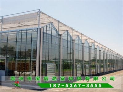 �B������