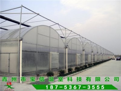 ���ϱ�Ĥ����