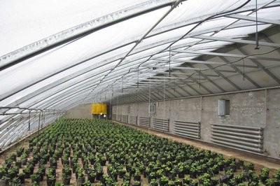 �չ���Ҵ��ｨ��