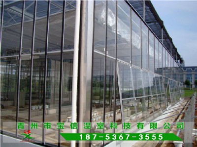 ���ܲ������Ҵ���