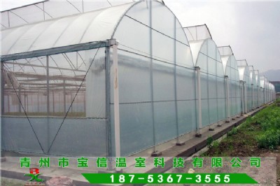 ���α�Ĥ���Ҵ����O(sh��)Ӌ