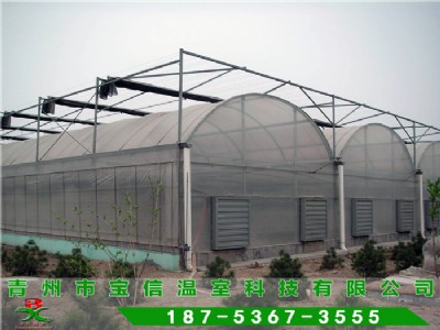 ���ϱ�Ĥ���ҹ���