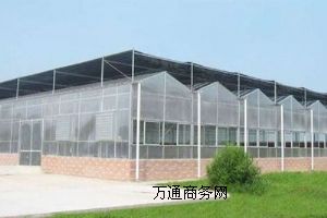 �H�����ҹ�����r�Ƕ���