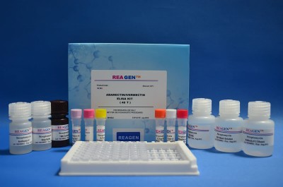 ����REAGEN�����EALSEԇ���У����ٙz�yţ�̘�Ʒ