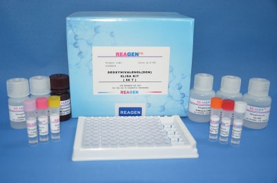 ���ٙz�y�~�r������Ậ����ԇ���У�����REAGEN,�ݽ�