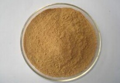 ��h�h�ɹ������� ���\��