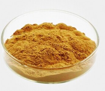 ��h�h�ɹ��� ���~��