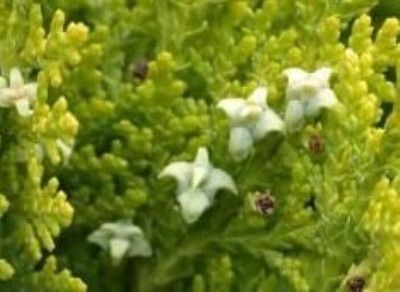 ��65%������������ȡ��