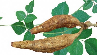 ����Ʒ�|(zh��)�������ȡ��