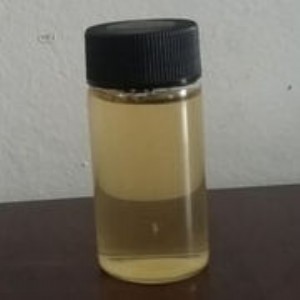 ���S�ҹ���������� ���tˎ����