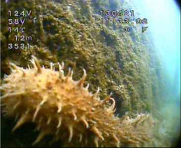 ����ˮ���Bֳˮ�z���^���W�W��O����