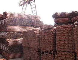 ���ʽ�_�ּ�����