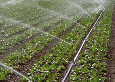 �����O�䇊������S�ҵι����