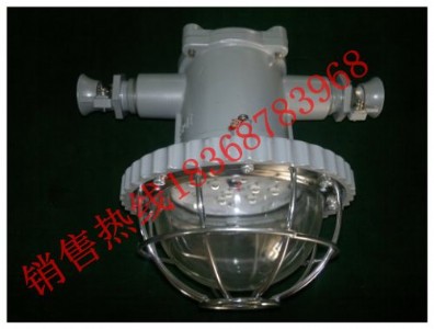 DGS18/127L(A)�A�͵̓r