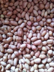 �M�ڻ������ⶐ���l(f��)