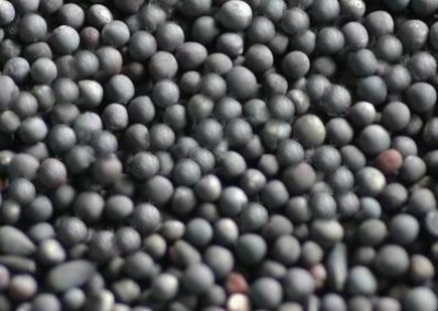 �M���Ͳ����ⶐ���l(f��)