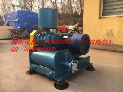 ����sr�߉��L�C�߉��p�O���_�Ĺ��L�C