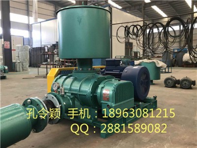 �ؚ��_���L�CƷ�ƏS�� �ؚ��L�C���S�r �_��ʽ�ؚ��L�C�r��