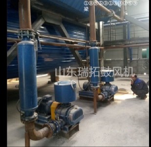 �_��ʽ�������s�C��ô�x�ͣ��S��ֱ�N���]