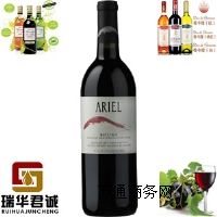 ARIEL�������o���ɼt���Ѿ�