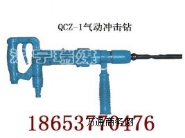 QCZ-1��ӛ_���@,�V���ֳ�ʽ����@�C