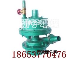 FQW20-65/K�~Ƭʽ�V���L�ӝ�ˮ�����V����ˮ��