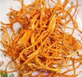 ���ڱ��x�ݏS�ҹ�؛