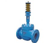 zzyp�߉�����ʽ�����{���y