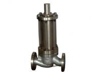 ��ճ���w����ʽ�{���y