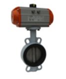 ��ӌ��A���y