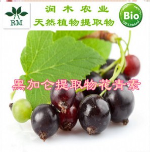 �ڼӁ���ȡ�ﻨ����25���W��(bi��o)