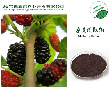 ɣ����ȡ��25�������؇���