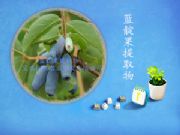 �{�����ȡ�ﻨ���ؚW��25��