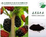 ɣ����ȡ�ﻨ���ؚW��25��