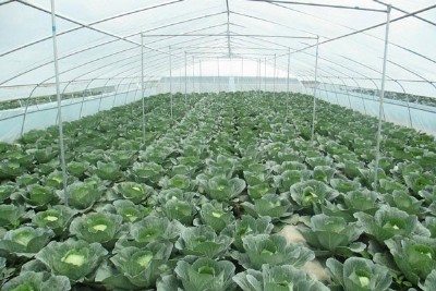 �rĤ���a�S�ҹ����r�����ϱ�Ĥ ���Ҵ���Ĥ ��Ĥ �o��Ĥ