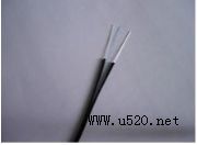 �͟��o�uƤ�����|���͟��o�u����Ƥ�����|(�D)