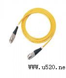 ���������w�������p�^����(�D)