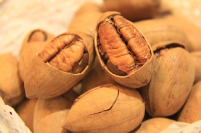 �V�ݱ̸����M�ڂ}���M����ôӋ��