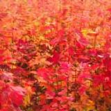 �����t��