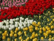 ���m�M(j��n)��������N��