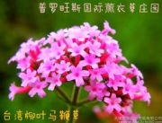 �_�����~�R�޲�